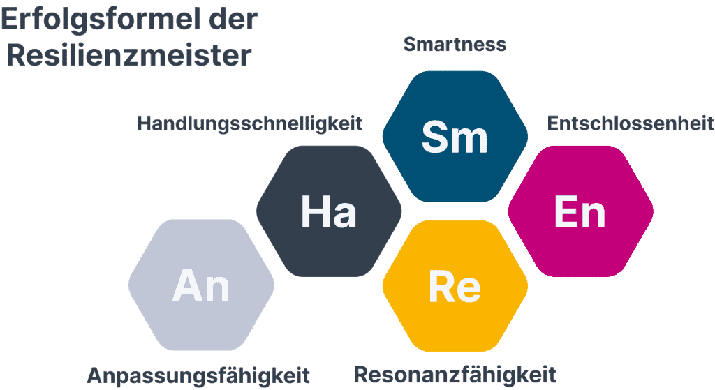 Erfolgsformel der Reslienzmeister